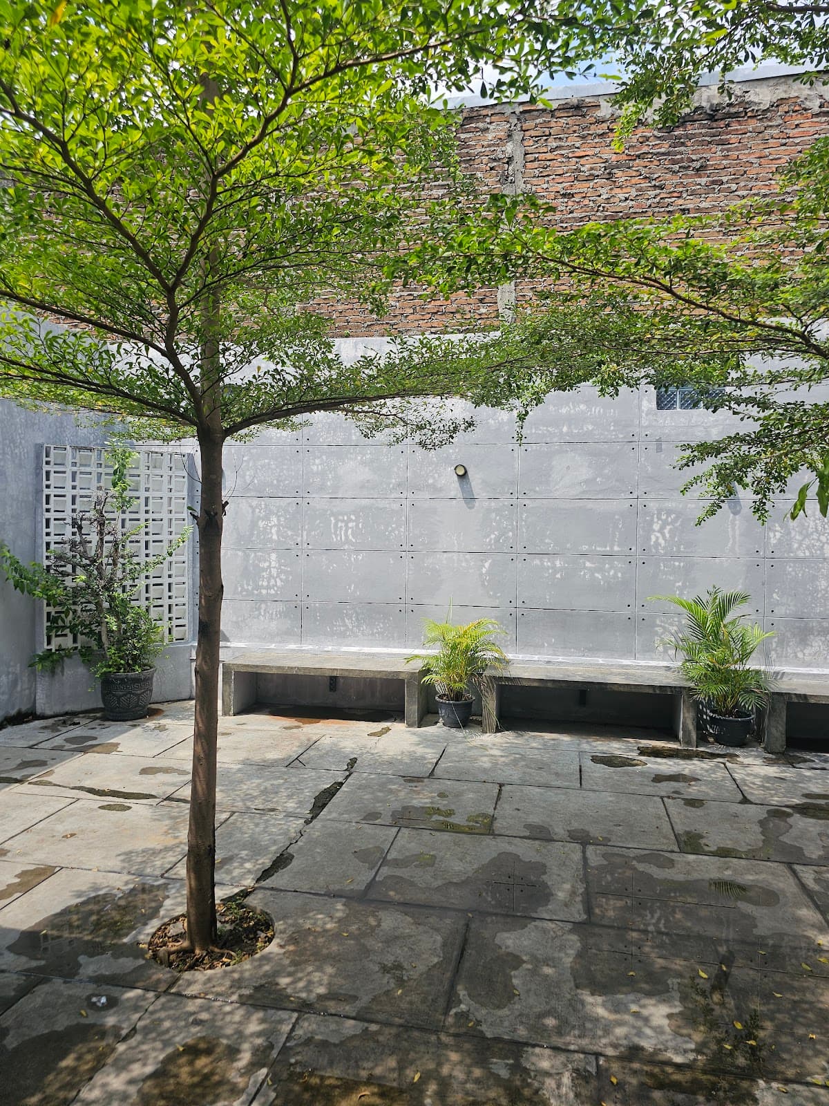 Surplus Coffee Studio 4